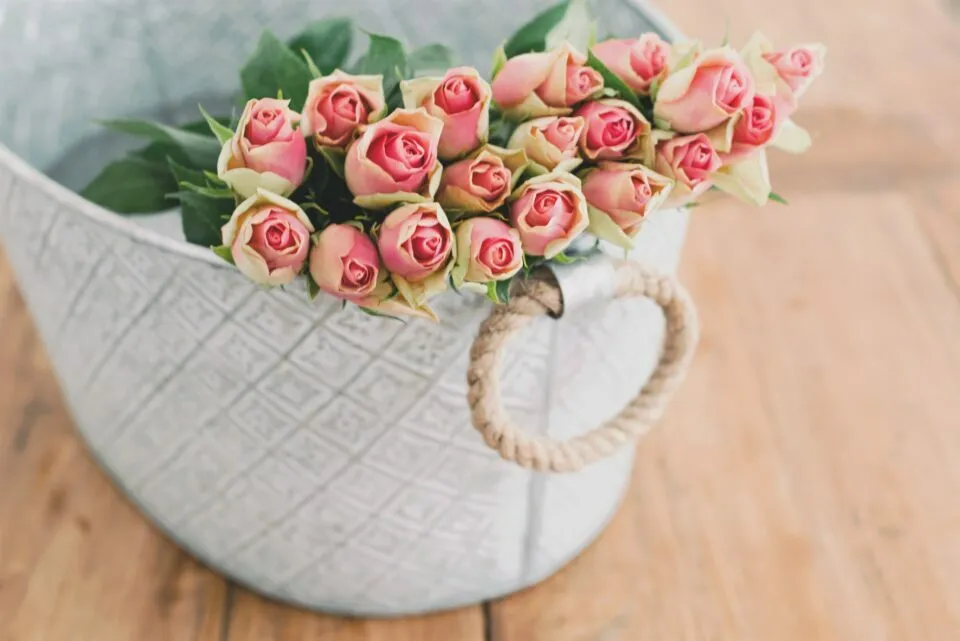 roman-kraft-HjTd4GUoyJs-unsplash